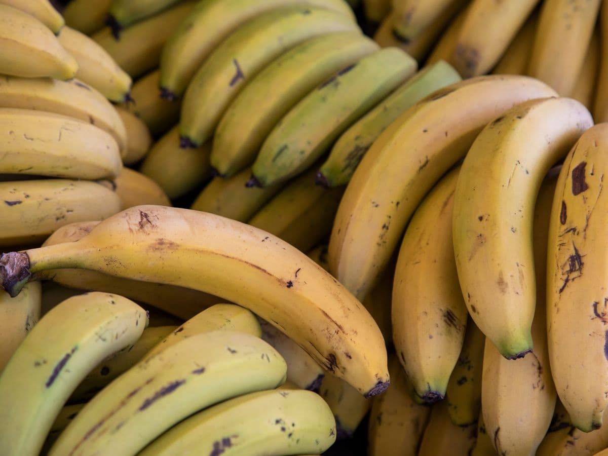 Banana-prata