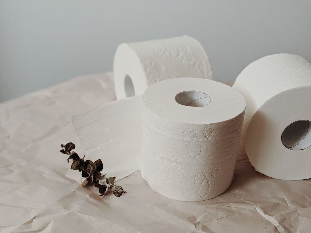 Papel higiênico folha dupla